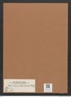 Navicula nebulosa Greg. (de-Toni-Nr.: Genus 1, Species 373) Zeichnungen Sammlung Grunow Mappe 00339 (Herbarium_W_Grunow_drawings_Folder_00339)